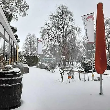 Parkhotel Krone 4*