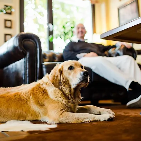 Parkhotel Krone Отель Бенсхайм