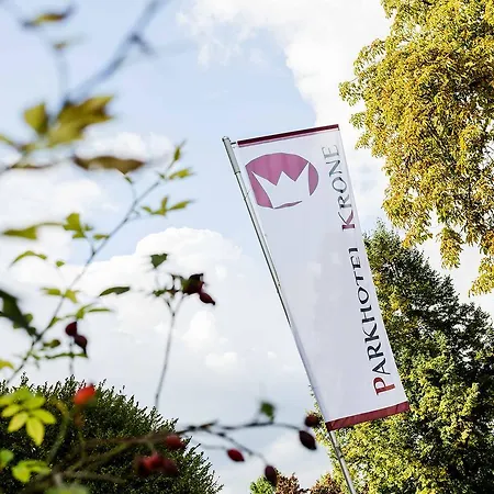 Parkhotel Krone Отель Бенсхайм