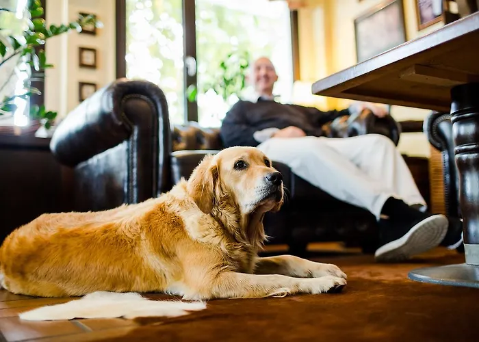 Parkhotel Krone Hotel Bensheim